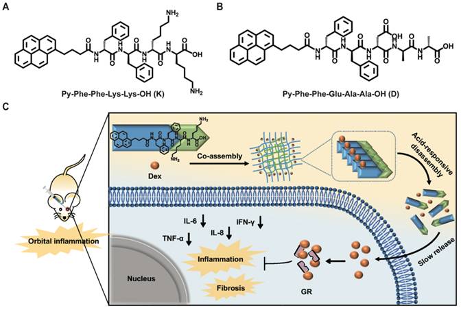 Theranostics Image