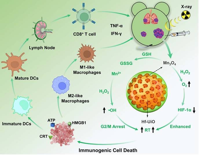 Theranostics Image