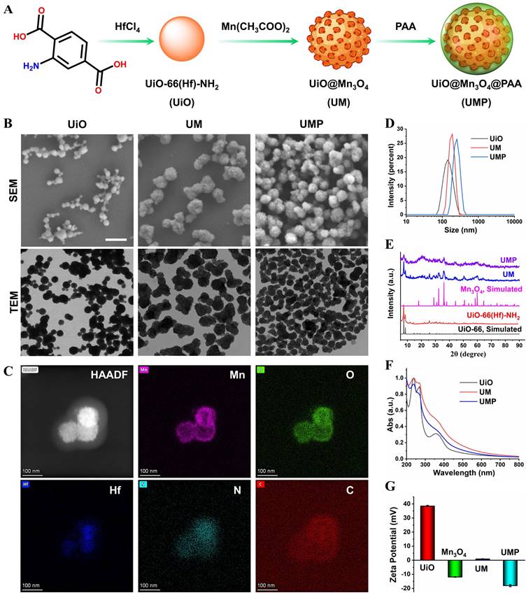 Theranostics Image