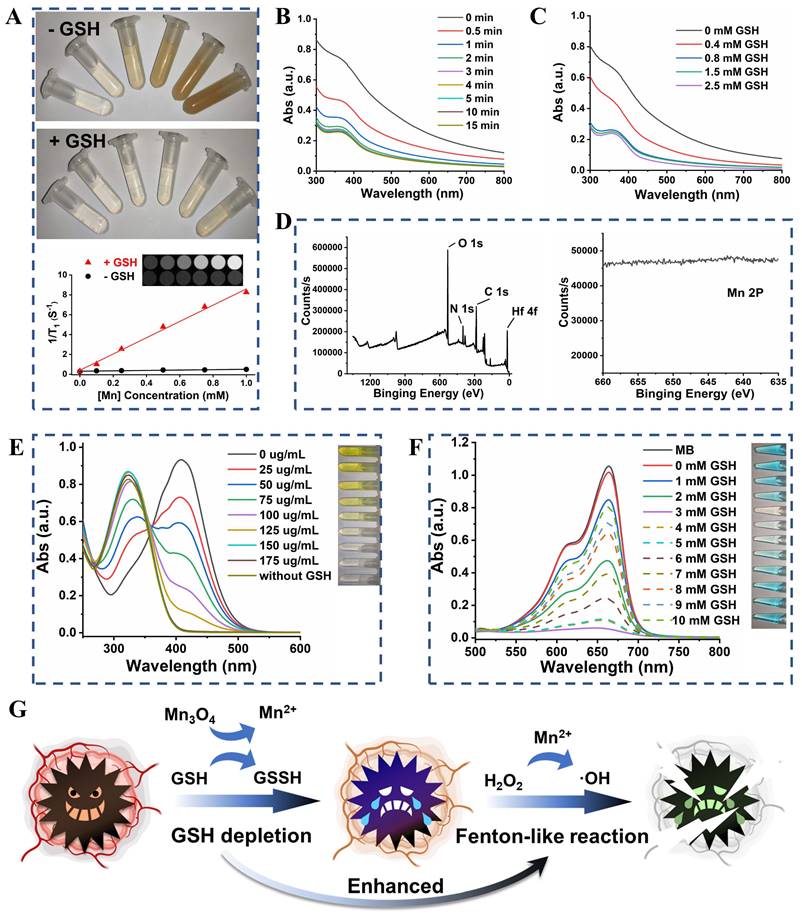 Theranostics Image