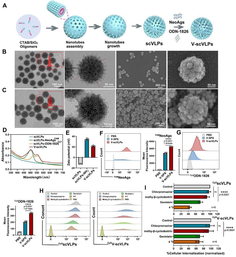 Theranostics Image