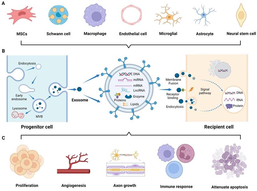 Theranostics Image