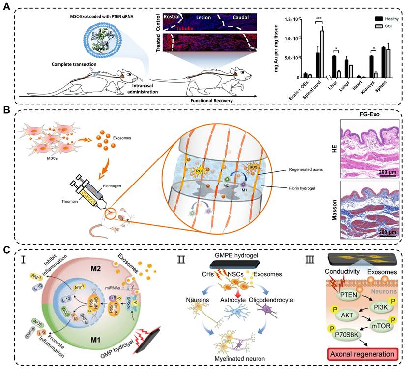 Theranostics Image