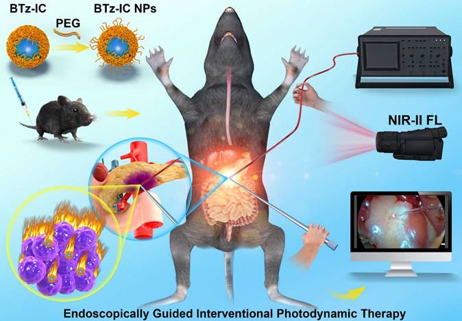 Theranostics Image