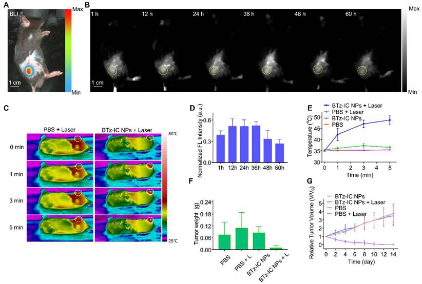 Theranostics Image