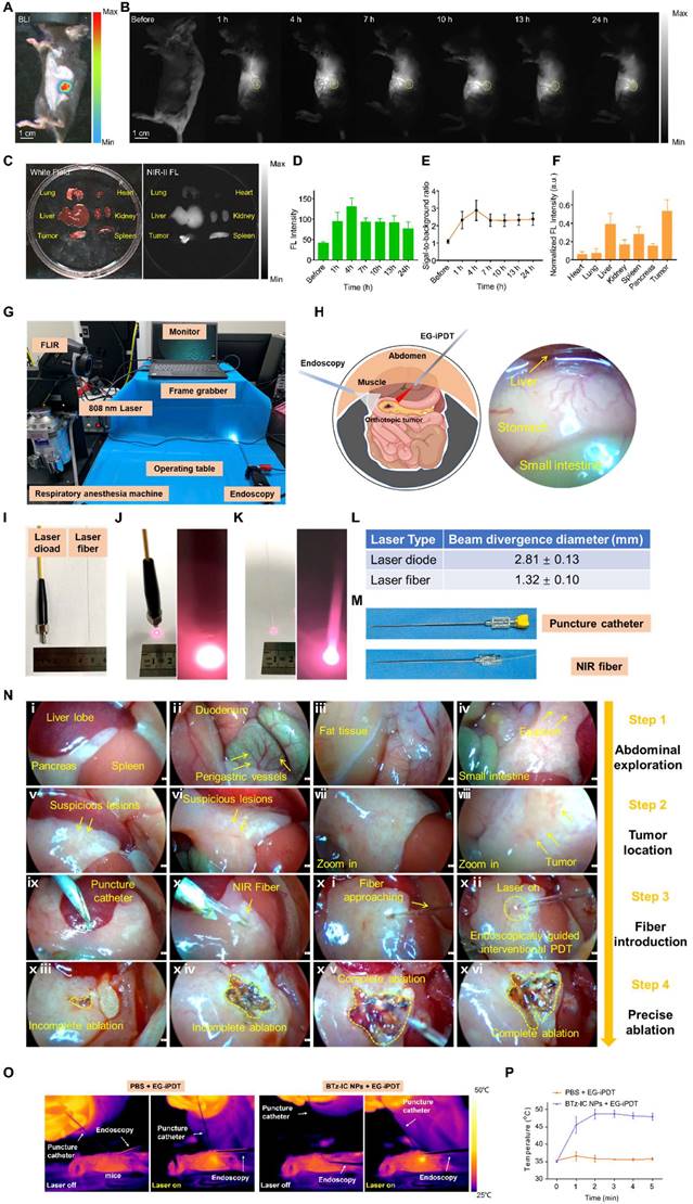 Theranostics Image