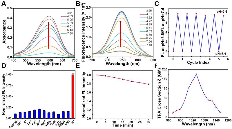 Theranostics Image