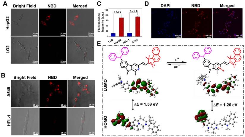 Theranostics Image