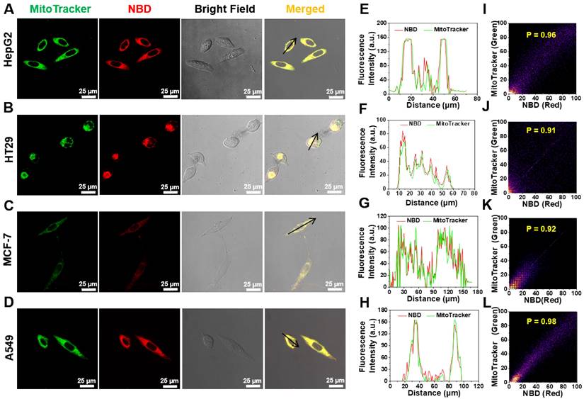 Theranostics Image