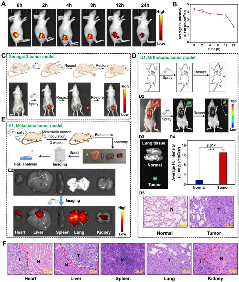 Theranostics Image