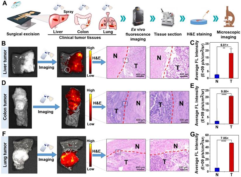 Theranostics Image