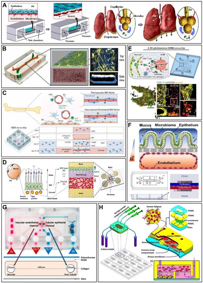 Theranostics Image