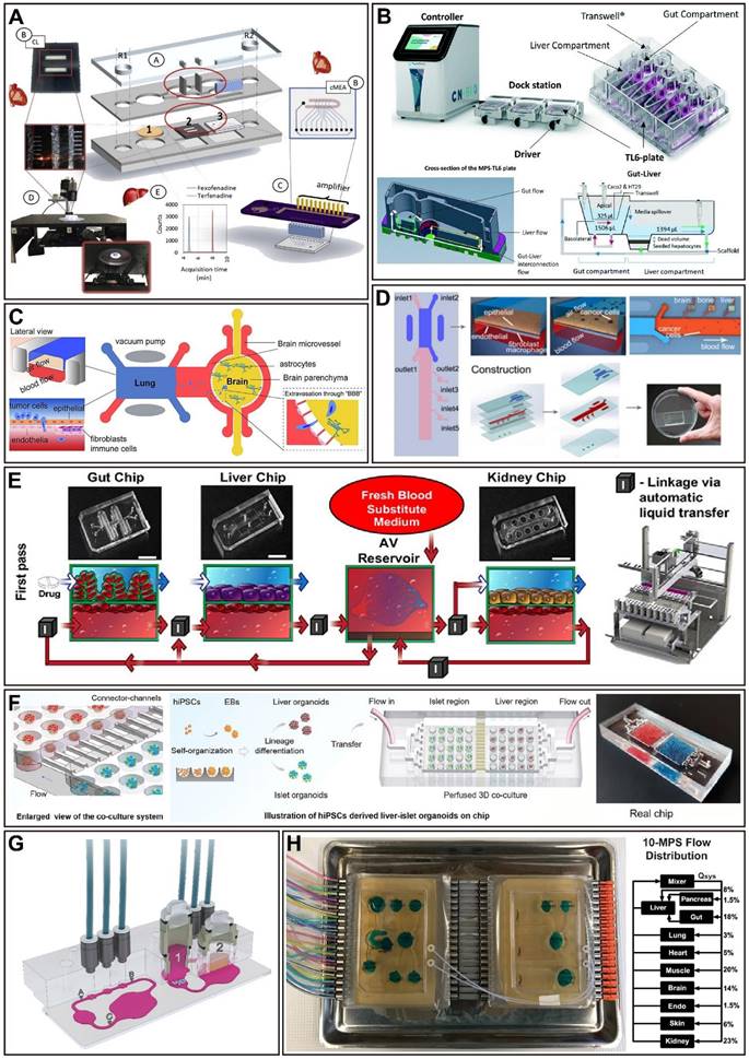 Theranostics Image