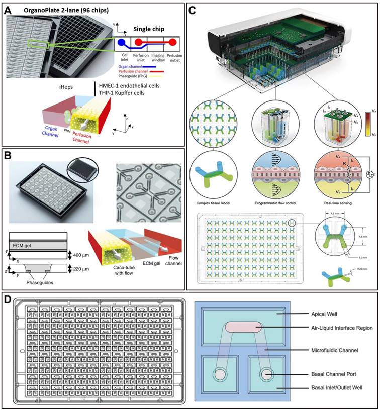 Theranostics Image