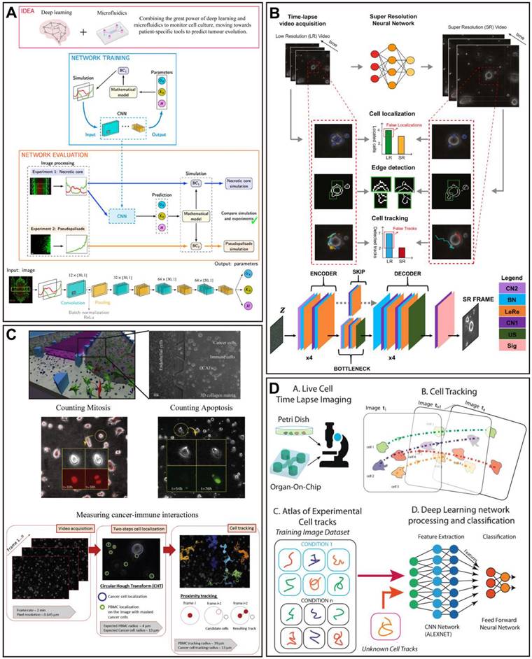 Theranostics Image