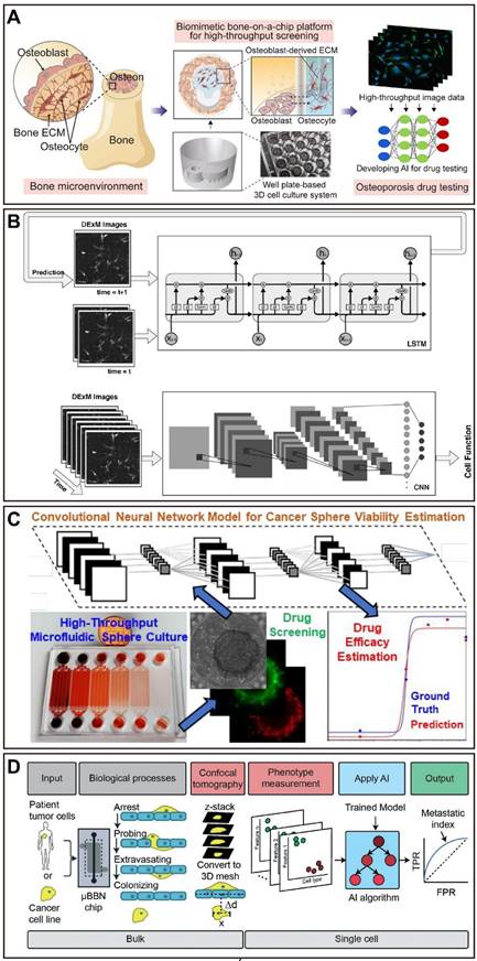 Theranostics Image