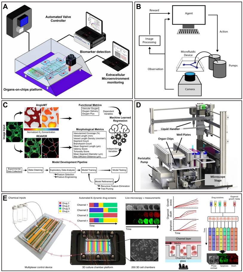 Theranostics Image