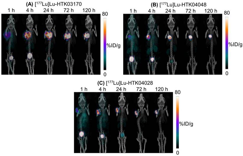 Theranostics Image