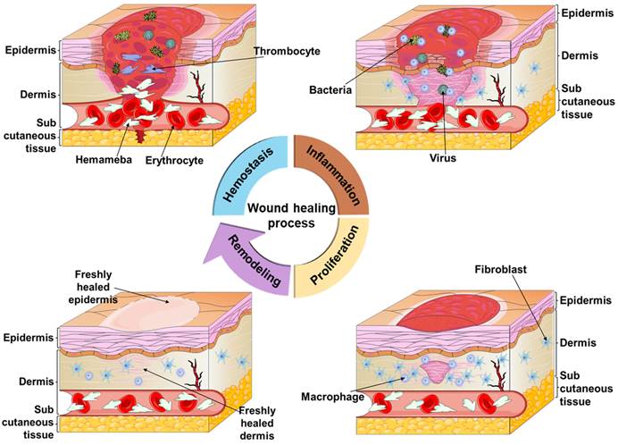 Theranostics Image