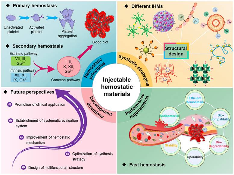 Theranostics Image