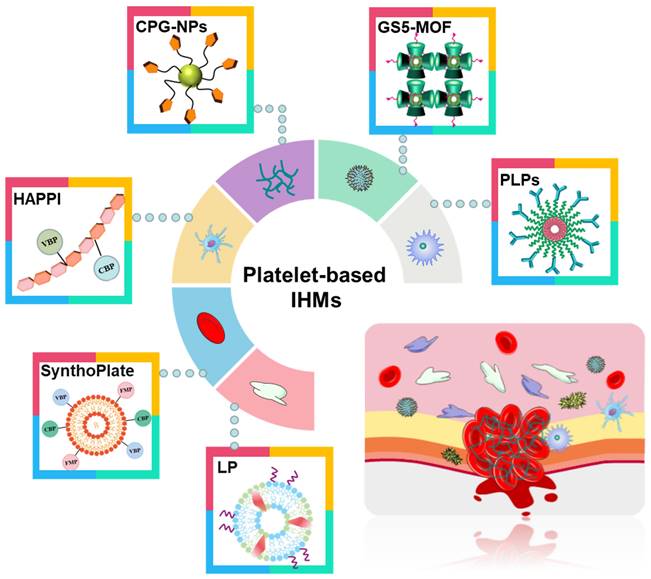 Theranostics Image