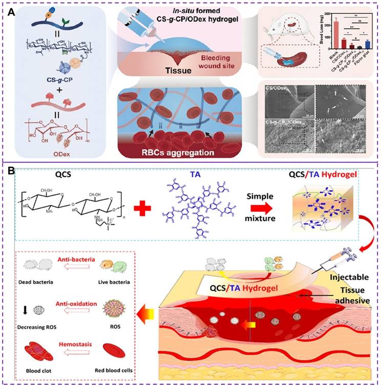 Theranostics Image