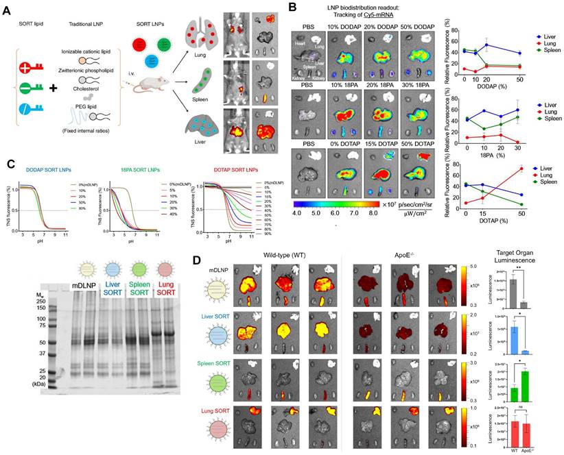 Theranostics Image