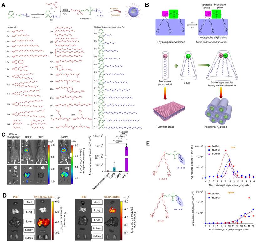 Theranostics Image