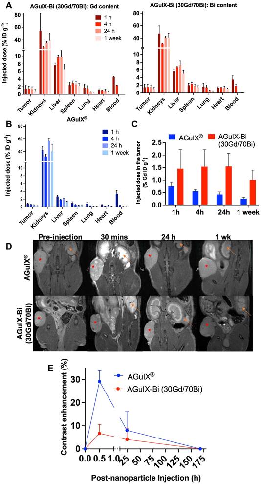 Theranostics Image