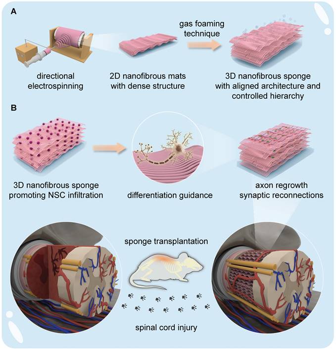 Theranostics Image