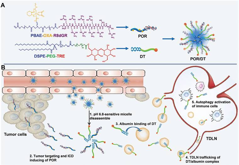 Theranostics Image