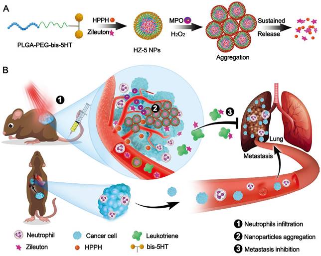 Theranostics Image