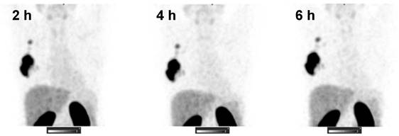 Theranostics Image