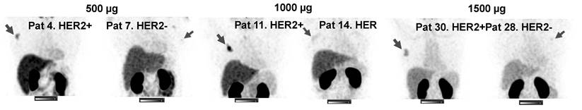 Theranostics Image