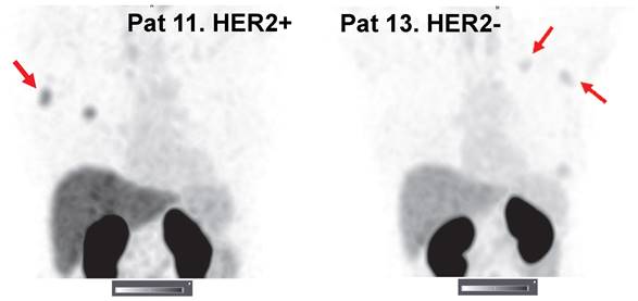 Theranostics Image