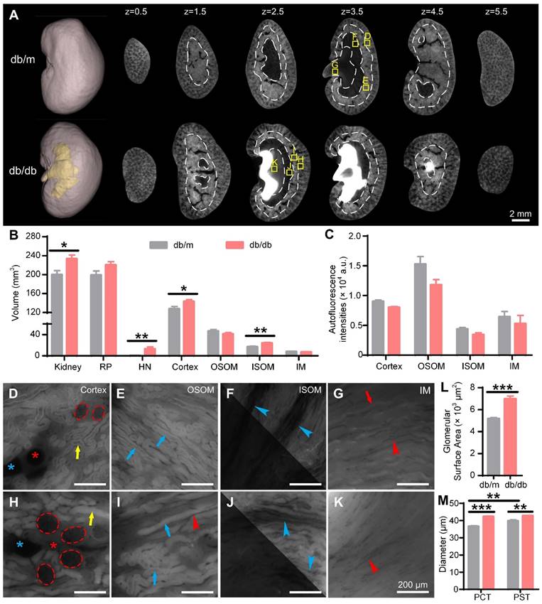 Theranostics Image