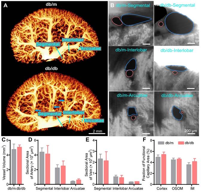 Theranostics Image