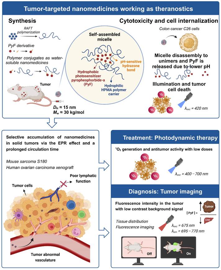 Theranostics Image