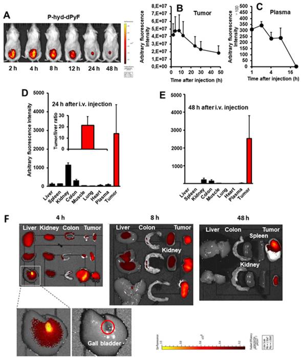 Theranostics Image