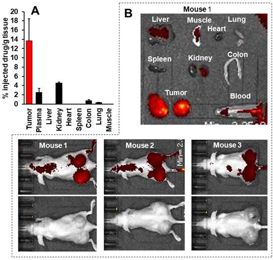 Theranostics Image