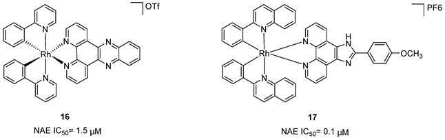 Theranostics Image