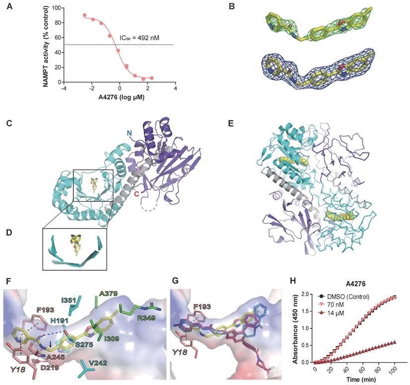 Theranostics Image