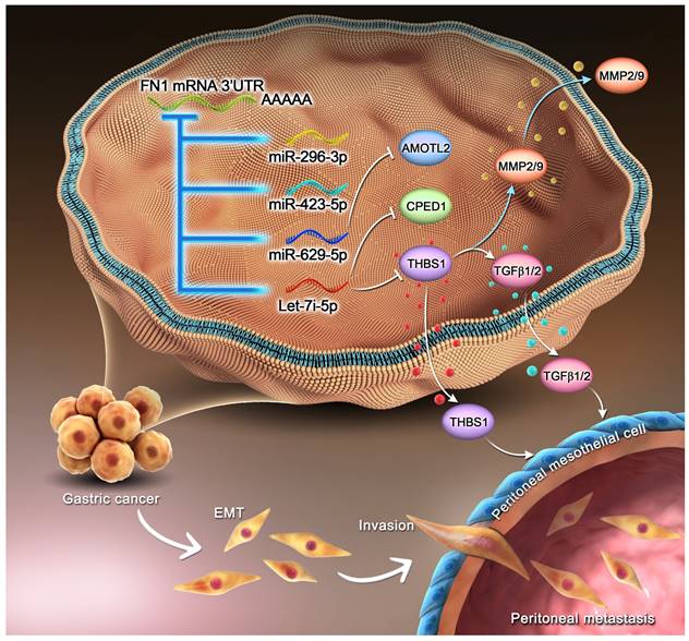 Theranostics Image