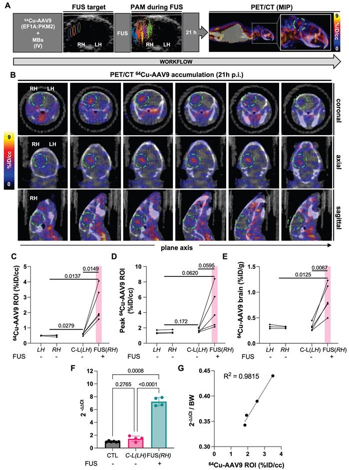 Theranostics Image