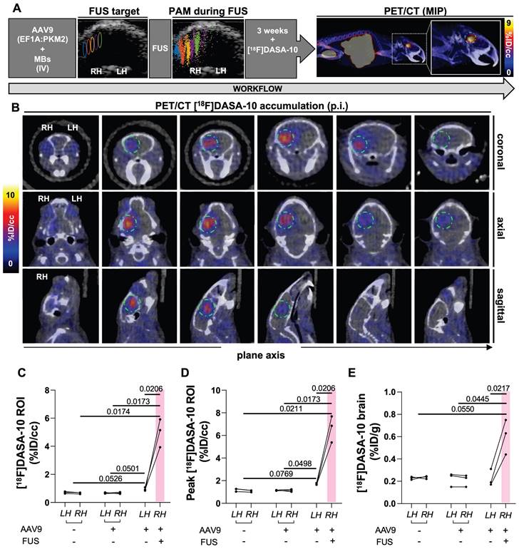 Theranostics Image