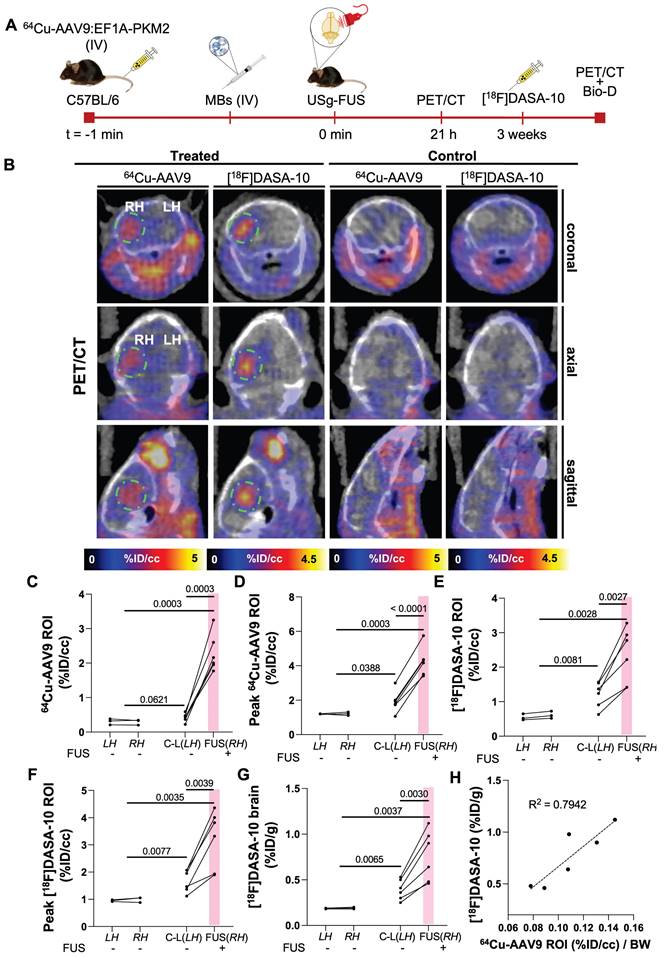 Theranostics Image