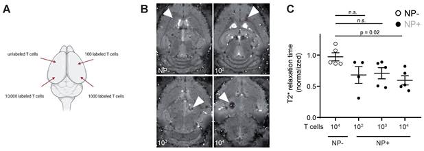 Theranostics Image