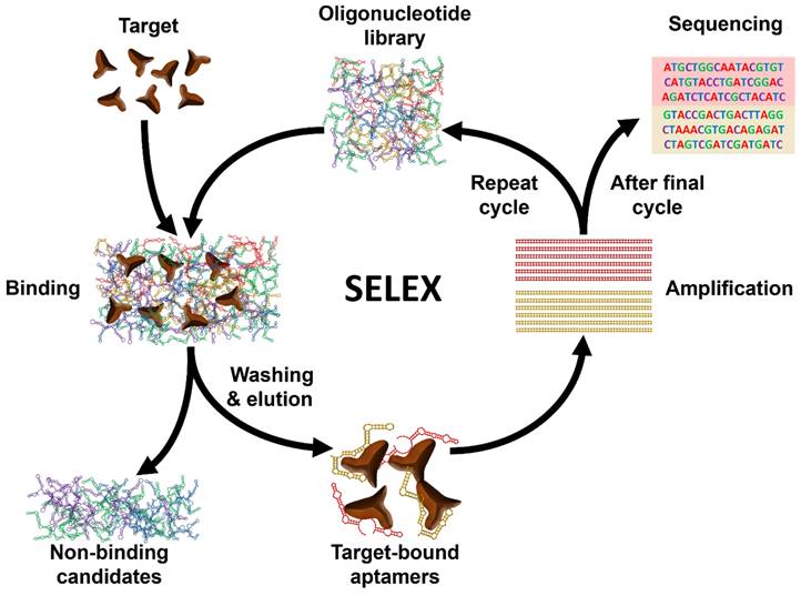 Theranostics Image