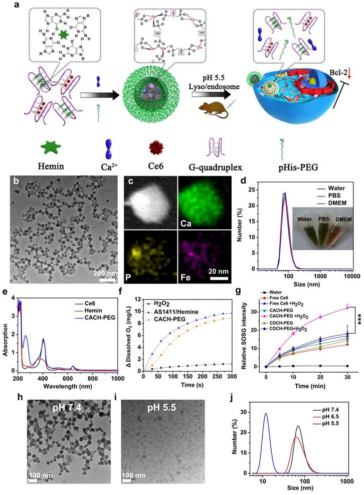 Theranostics Image