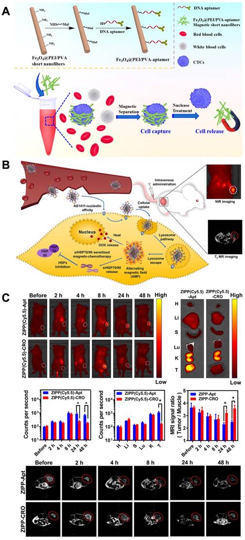 Theranostics Image